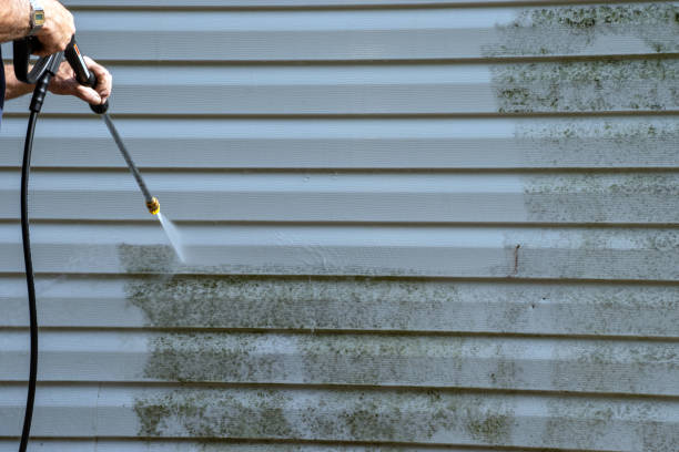 Best Property Management Cleanouts  in Montana City, MT